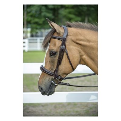 Henri de Rivel Pro Mono-Crown Padded Wide Noseband Bridle - Havana