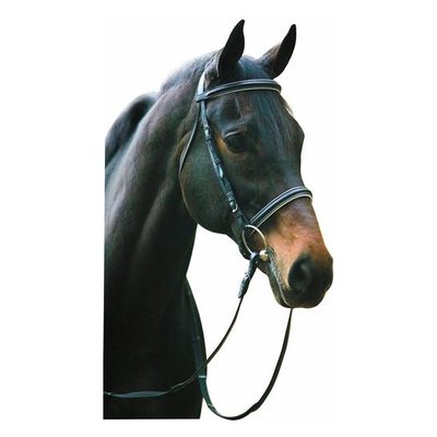 Henri de Rivel Pro Padded Dressage Bridle w/Web Reins - Black/White