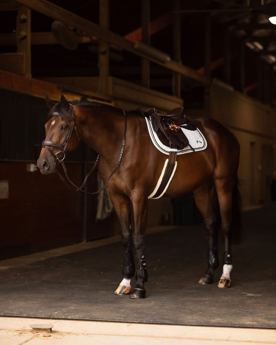 A bay horse tacked up in a Henri de Rivel saddle, bridle and fleece girth in a barn doorway