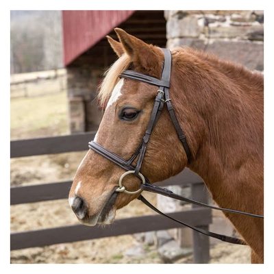Henri de Rivel Pro Mono Crown Padded Bridle - Havana