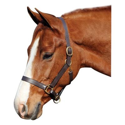 Henri de Rivel Advantage Leather Halter - Havana