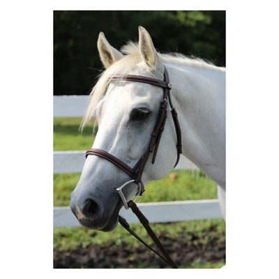 Henri de Rivel Advantage Plain Raised Snaffle Bridle w/Laced Reins - Havana