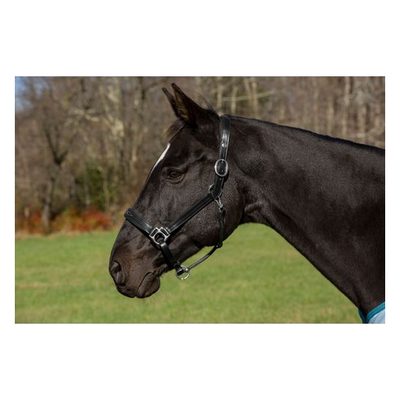 Henri de Rivel Pro Fancy Padded Rolled Throat Triple Stitched Halter - Black