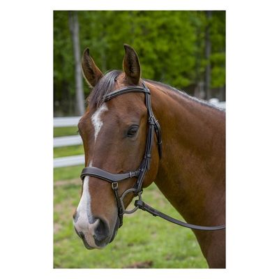 Henri de Rivel Pro Anatomical Bridle - Havana