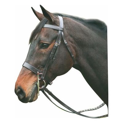 Henri de Rivel Advantage Hunt Bridle - Havana