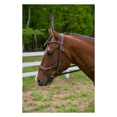 Henri de Rivel Pro Anatomical Bridle - Australian Nut