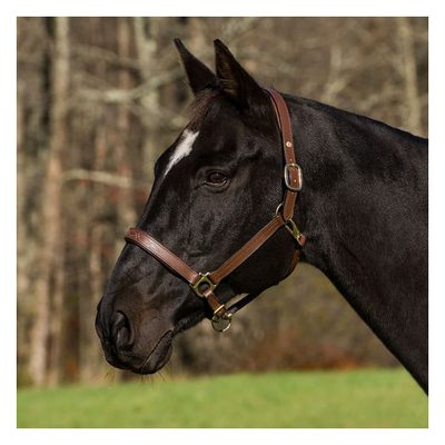 Henri de Rivel Pro Fancy Padded Rolled Throat Triple Stitched Halter - Oakbark
