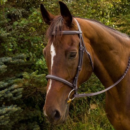 Henri de Rivel Jamaika Pro Anatomical Fancy Raised Wide Flash Bridle w/Reins - Havana