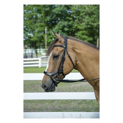 Henri de Rivel Pro Anatomical Bridle - Black