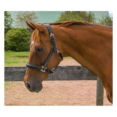 Henri de Rivel Stress Free Halter w/Fancy Contrast Stitching - Australian Nut