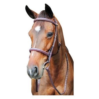 Henri de Rivel Pro Fancy Raised Comfort Crown Padded Bridle w/Reins - Australian Nut