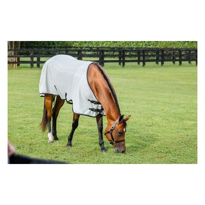 Amigo Stock Horse Bug Rug - Silver/Black