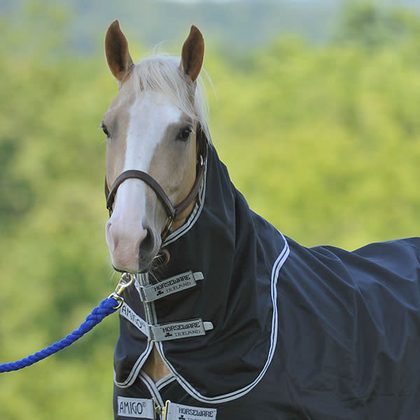 Amigo Stock Horse Hood 0g - Black/Silver