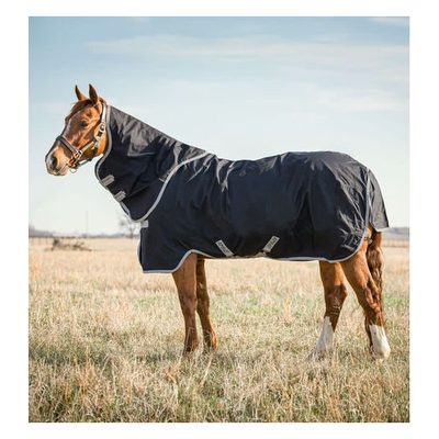 Amigo Stock Horse Plus 0g - Black/Silver