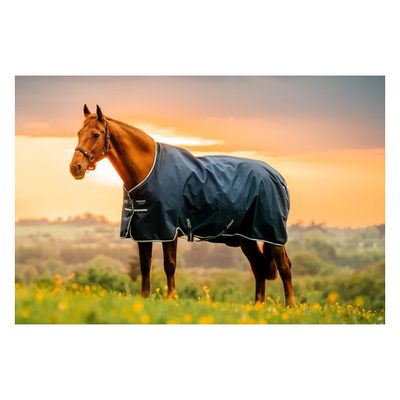 Amigo Ripstop 900D Turnout 100g - Witney Navy