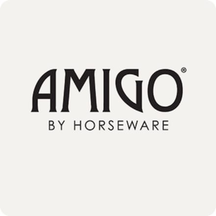 Amigo logo