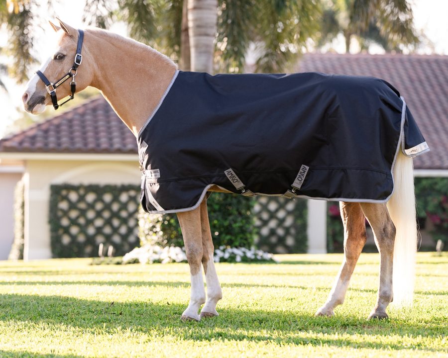 A palomino pony in a navy Amigo 1200D Pony turnout standing on a lawn in front of a house
