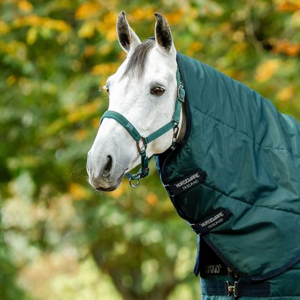 Amigo Ripstop Insulator Stable Hood 200g - Dynasty Green/Navy/Silver