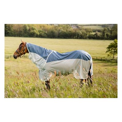 Amigo Ameco Combi - Teal/Grey