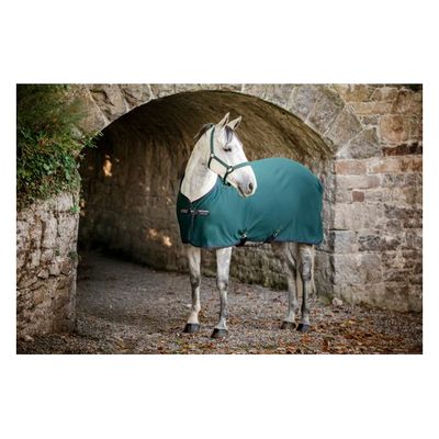 Amigo Jersey Cooler - Dynasty Green/Navy/Silver