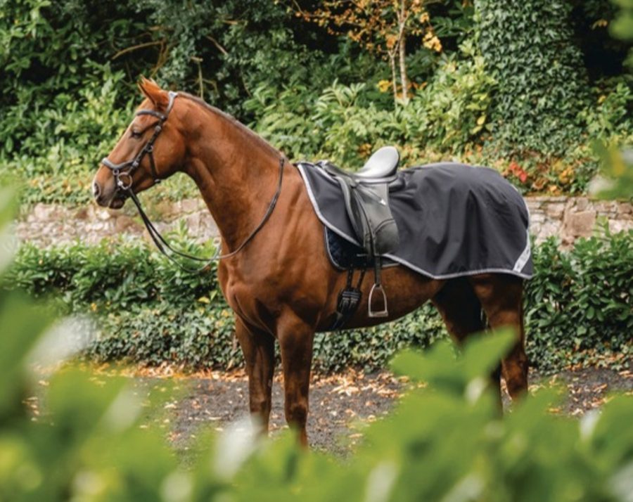 A chestnut horse under saddle in a black Amigo Ripstop exercise sheet in a garden