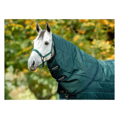 Amigo Ripstop Insulator Stable Hood 200g - Dynasty Green/Navy/Silver
