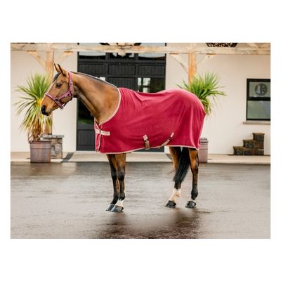 Amigo Fleece Cooler - Mulberry/Taupe