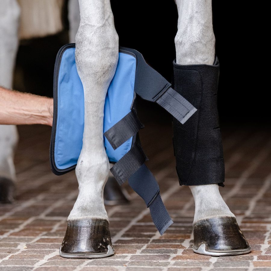 A groom fastening an EquiFit Essential Cold Therapy Tendon Boot on a grey horse's front leg