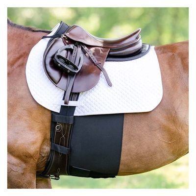 EquiFit BellyBand+ - Black