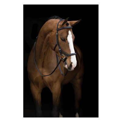 Rambo Micklem Original English Leather Deluxe Competition Bridle - Black