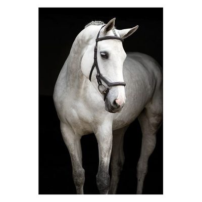Rambo Micklem Original Deluxe Competition Bridle - Dark Havana