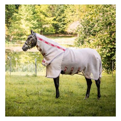 Rambo Protector w/Disc Front - Oatmeal/Cherry/Peach/Blue