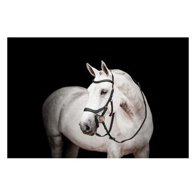 Rambo Micklem 2 Competition Bridle w/Reins - Black