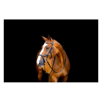 Rambo Micklem 2 Diamante Competition Bridle - Black