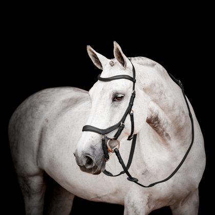 Rambo Micklem 2 Deluxe Competition Bridle w/Reins - Dark Havana