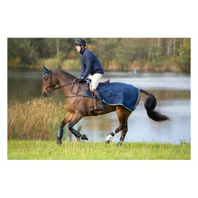 Rambo Competition Sheet - Navy/Beige/Blue/Navy