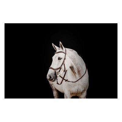 Rambo Micklem 2 Deluxe Competition Bridle w/Reins - Dark Havana