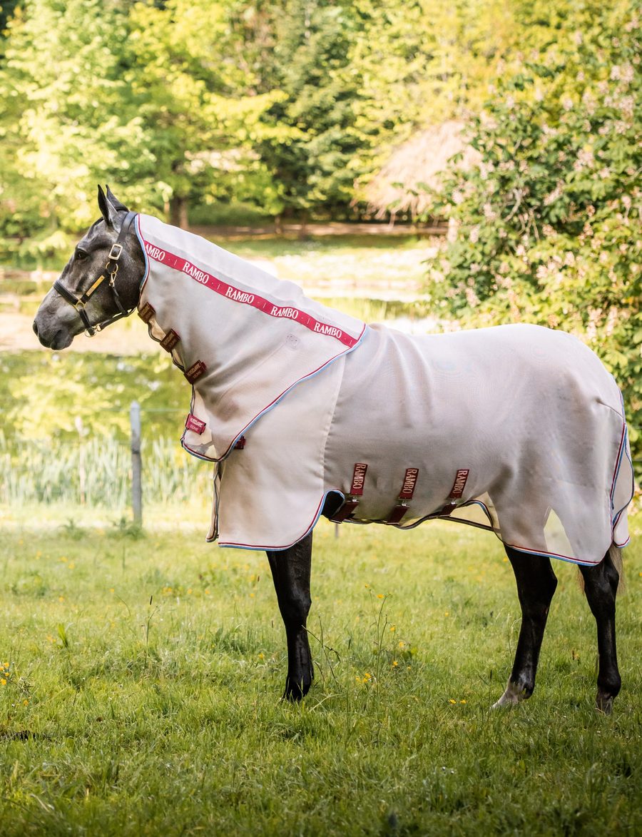 A dark bay horse in a white Rambo Protector fly sheet with a matching neck cover, standing in a green paddock