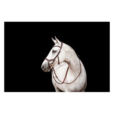 Rambo Micklem 2 Competition Bridle w/Reins - Dark Havana