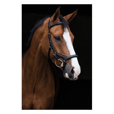 Rambo Micklem Original Deluxe Competition Bridle - Black