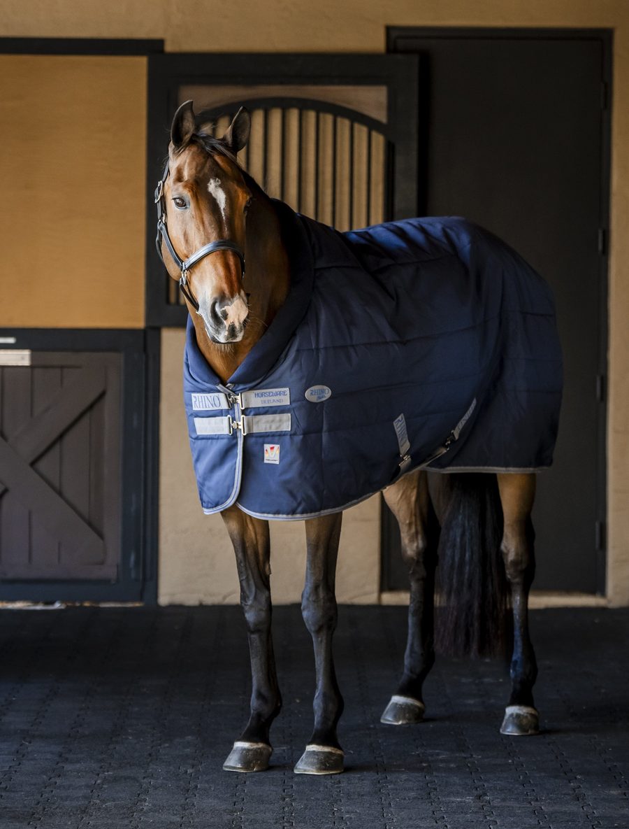 A bay horse in a navy Rhino Original stable blanket standing in a barn aisle