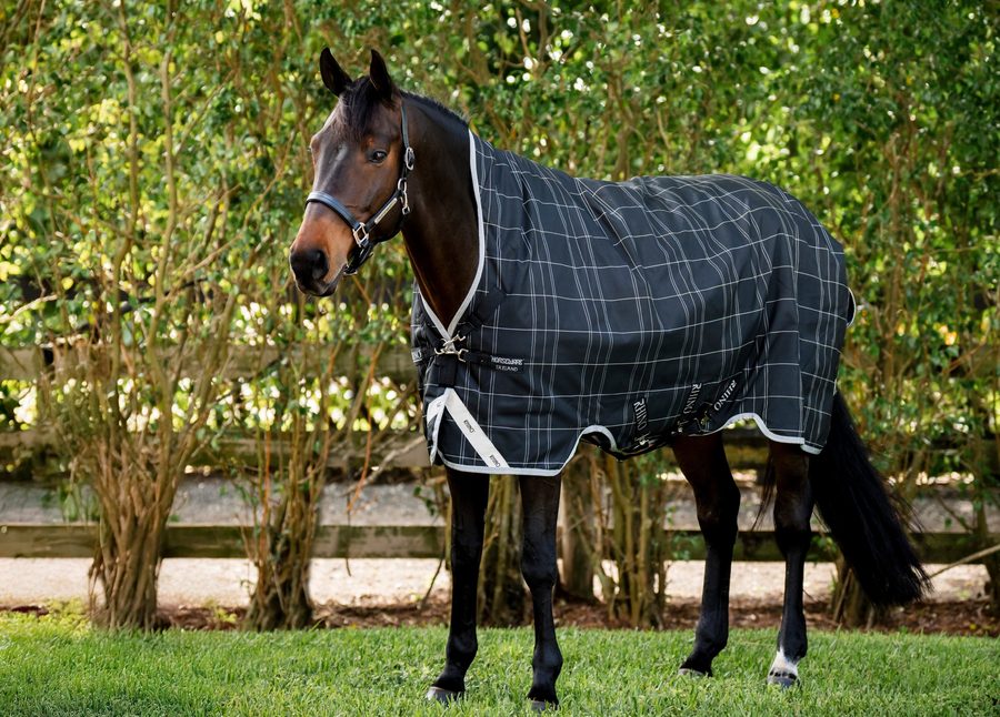 A bay horse in a black and gray plaid Rhino Wug turnout with leg arches standing in front of a hedge