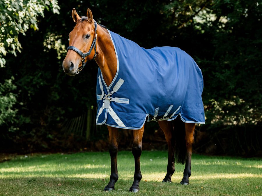 A chestnut horse in a navy and blue Rhino Wug turnout sheet standing on the grass in front of dark trees