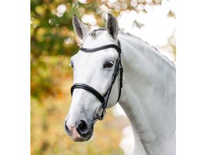 Horseware Cavesson Bridle - Black