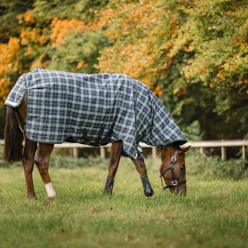 Rhino Plus Heavy VariLayer Turnout on a grazing horse
