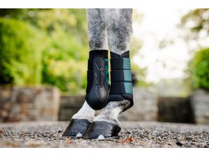 Horseware Classic Brushing Boots - Dynasty Green