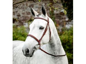 Horseware Hunter Cavesson Bridle w/Reins - Brown