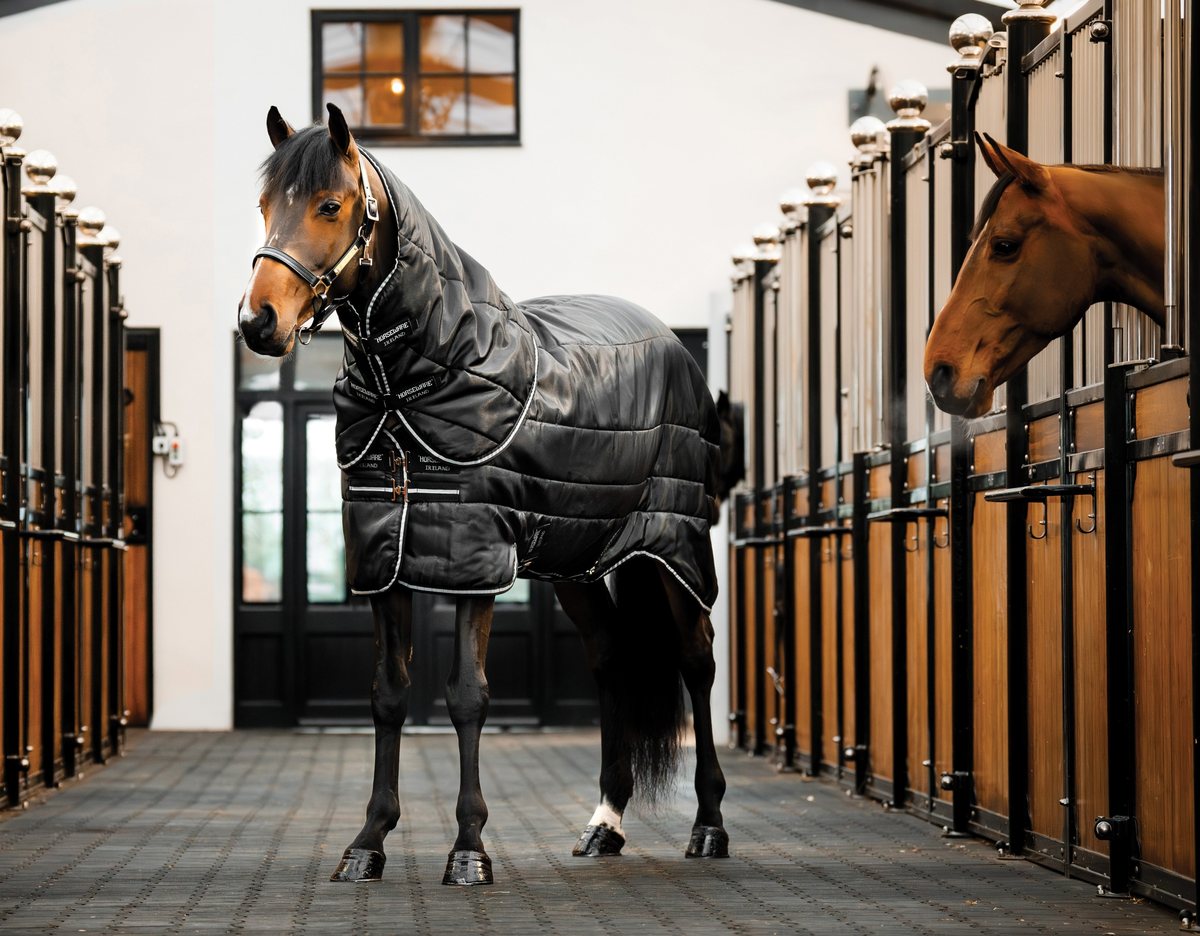 A black-blanketed horse in a Horseware Easy-Layer Stable Plus 200g blanket and hood in a stable aisle