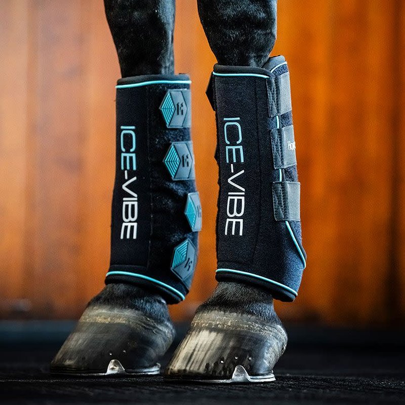 Ice-Vibe leg wraps on a horse in a stable