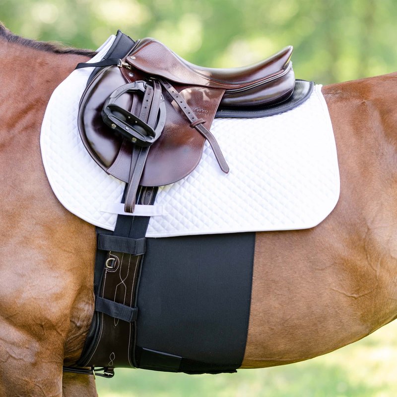 EquiFit BellyBand+ and white saddle pad on a chestnut horse